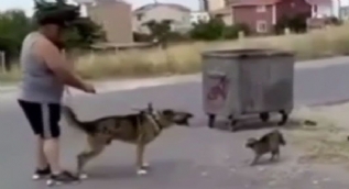 Çocukların gözü önünde köpeğine kediyi parçalattı