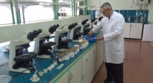 Milli silah için müthiş haber... Bor kullanarak plastiği çeliğe dönüştürdü