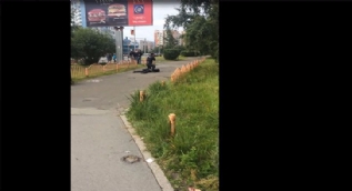 Rusya'da bıçaklı saldırı gerçekleştiren saldırgan polis tarafından etkisiz hale getirildi