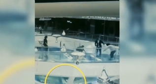 Çin´de bir AVM çalışanı köpekbalıklarının bulunduğu havuza düştü