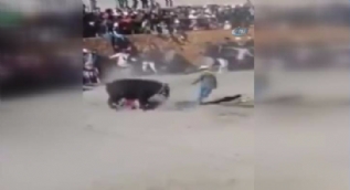 Erken salınan boğa dehşet saçtı