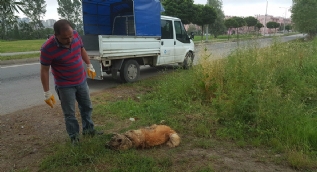 Kendisini parçalamak isteyen köpeğini suda boğarak ölümden kurtuldu