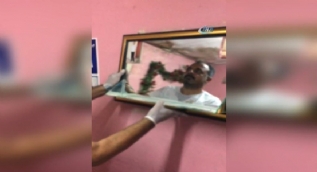Torbacıların zulası pes dedirtti