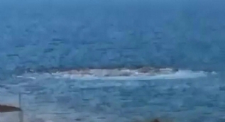 Ayvacık sahilinde denizde ürküten görüntü
