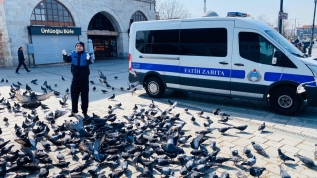 Kuşlar aç kalmasın diye Antalya'dan İstanbul'a buğday gönderdi