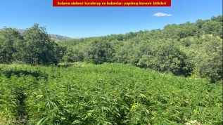 Diyarbakır'da narkoterör operasyonun da ele geçirildi! Tam 2 milyon 452 bin 500