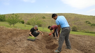 Çiftçinin yüzü yerli fidelerle gülecek