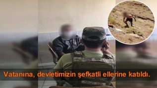 Teslim olan teröristin üstünden el bombası çıktı