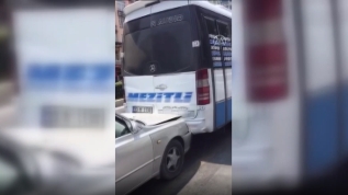 Arabaya giren yılan kazaya sebep oldu!
