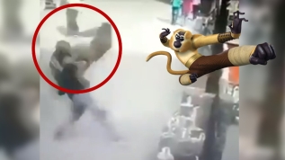 Maymuna hareket çeken genç, pişman oldu