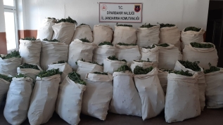 Diyarbakır'da uyuşturucuya geçit yok