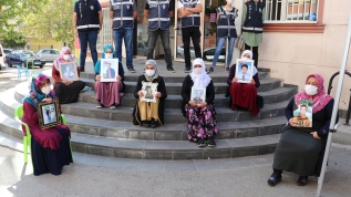 Evlatlarına kavuşan aileler Diyarbakır annelerinin umutlarını perçinliyor