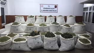 Narko terör operasyonunda 877 kilogram esrar ele geçirildi