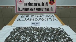 Roma ve Bizans dönemlerine ait 3 bin 988 sikke yakalandı