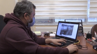 Hakkari'de keşfedildi! Sayıları 60'a yükseldi