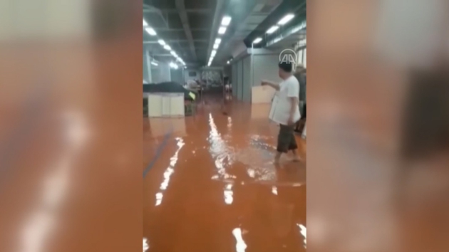 İstanbul'da şiddetli yağış: Ispartakule'de bazı yerleri su bastı