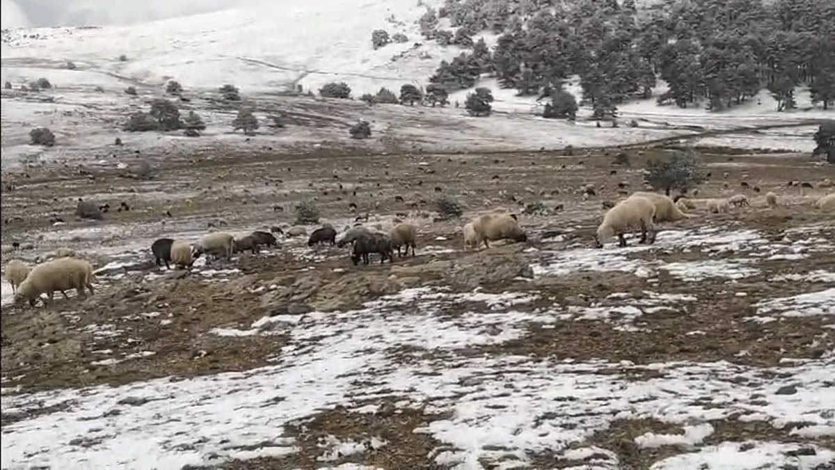 Kar yana yaylada yakaland, oban sesiyle duygusal anlar yaatt 