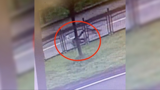 Ba��bo� k�pekler yoldan ge�en kad�na sald�rd�