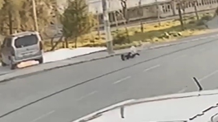 Yine sokak köpeği, yine çocuğa saldırı                 