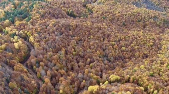 Bolu'da mest eden sonbahar görüntüsü
