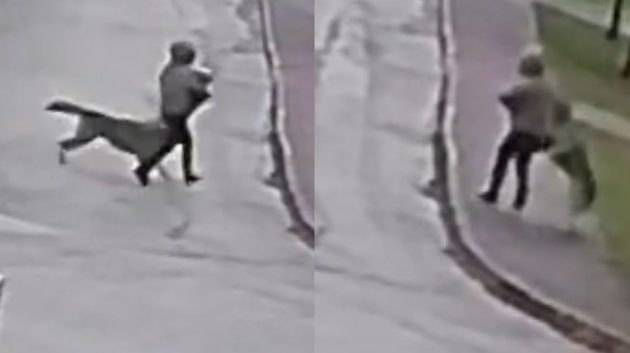 Adana'da k�pek deh�eti: Kad�n�n imdad�na b�lge esnaf� yeti�ti 