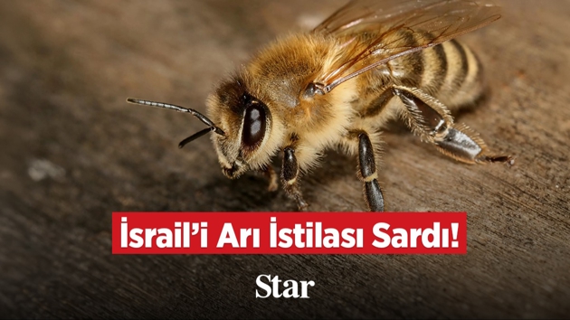 �srail'i Ar� �stilas� Sard�!