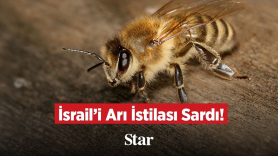 �srail'i Ar� �stilas� Sard�!